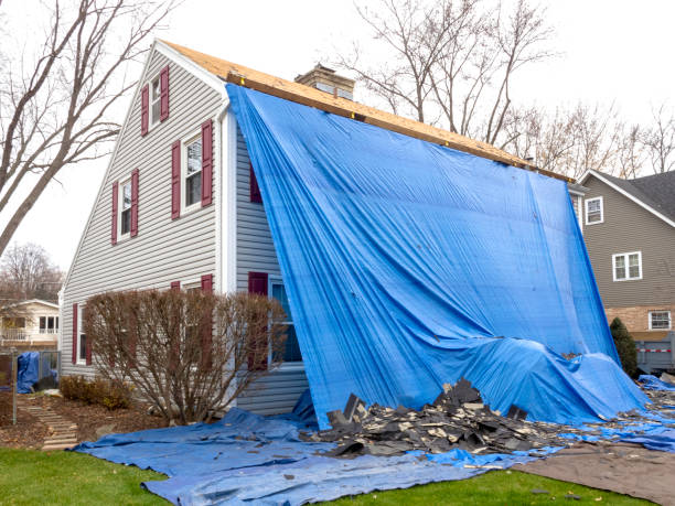 Best Commercial Junk Removal  in Youngwood, PA